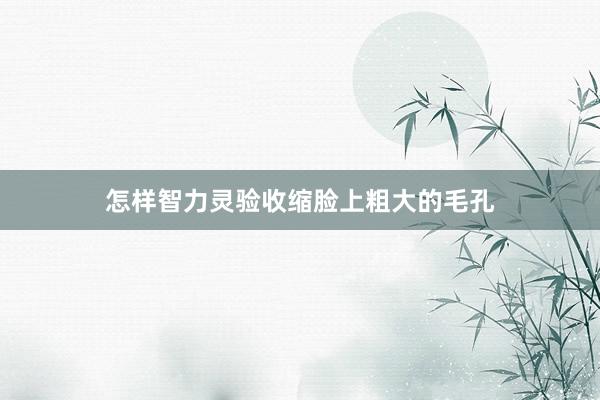 怎样智力灵验收缩脸上粗大的毛孔